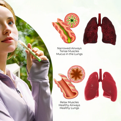 🔥 Blizkox™ Mullein Aroma Diffuser – Relief for Cough, Congestion & Breathing Comfort💝